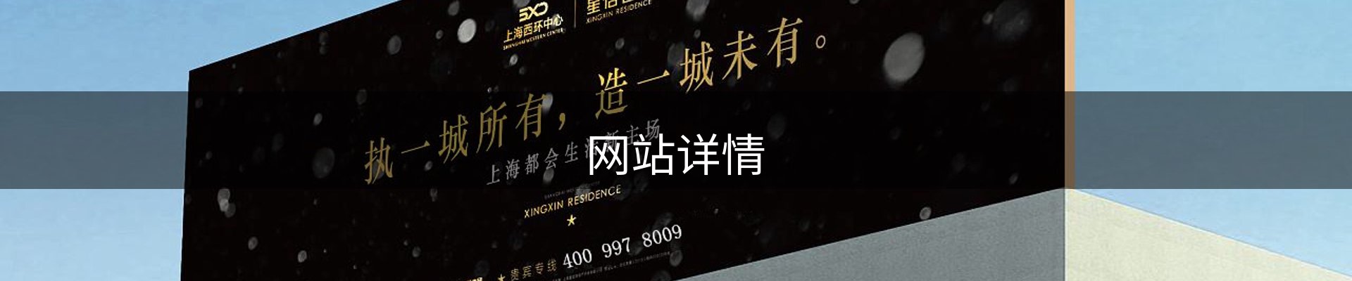 网站详情