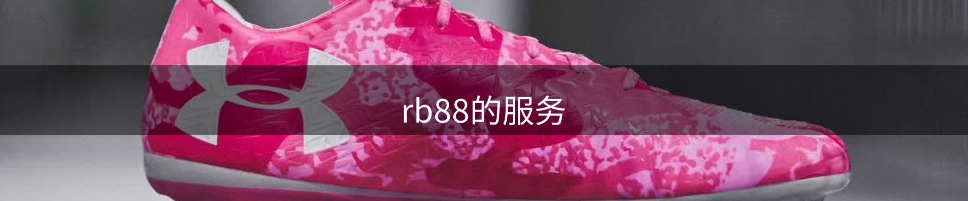 rb88的服务